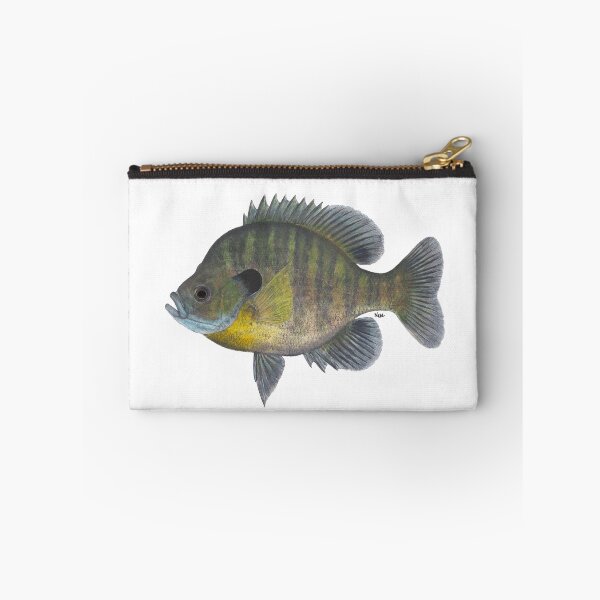 Item preview, Bluegill (Lepomis macrochirus) designed and sold by LeakyCanoeArt.