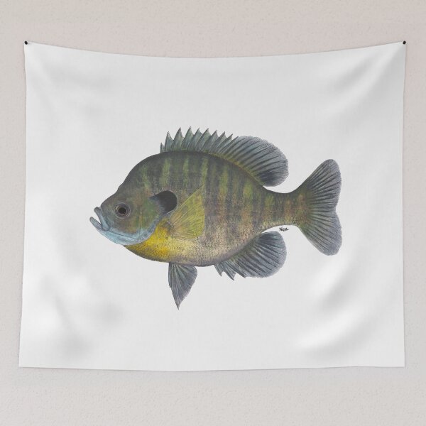 Item preview, Bluegill (Lepomis macrochirus) designed and sold by LeakyCanoeArt.