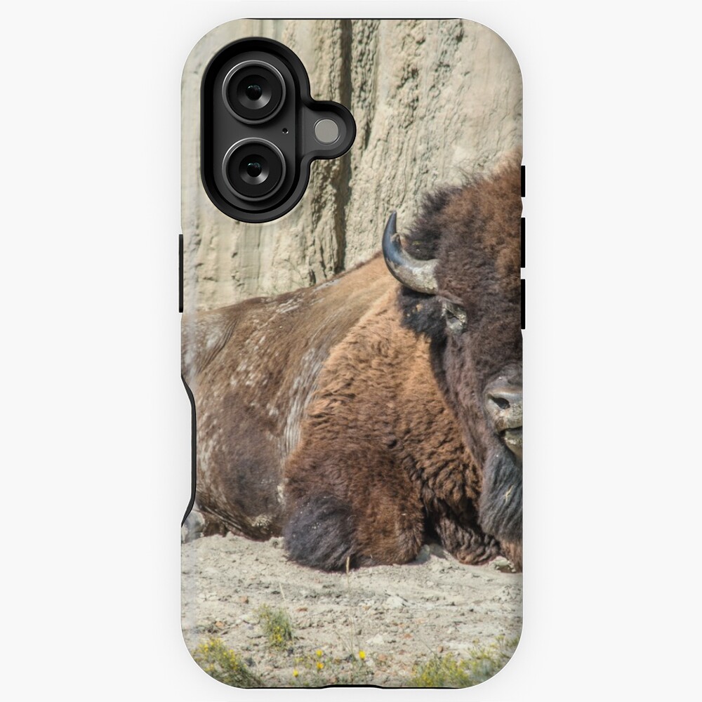 Item preview, iPhone Magsafe Tough Case designed and sold by jwwalter.