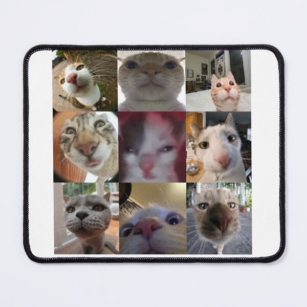 Item preview, Cat Close-up Collage designed and sold by Leatherface.