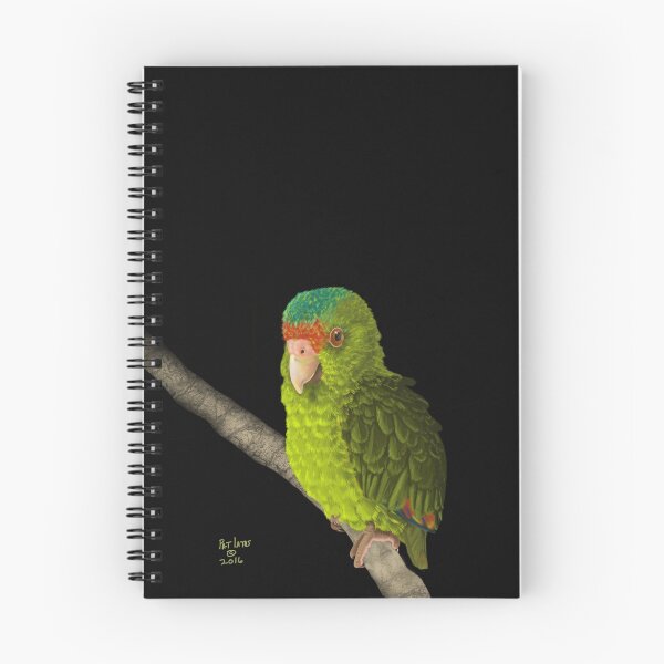 Item preview, Baby Amazon Parrot designed and sold by pjlatasdvm.
