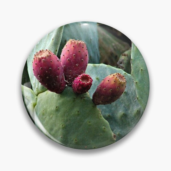 Artikelvorschau, Feigenkaktus Reife Frucht Sukkulente Nopal entworfen und verkauft von worldways.
