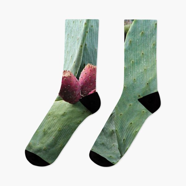 Item preview, Prickly Pear Ripe Fruit Succulent Plant Nopal designed and sold by worldways.