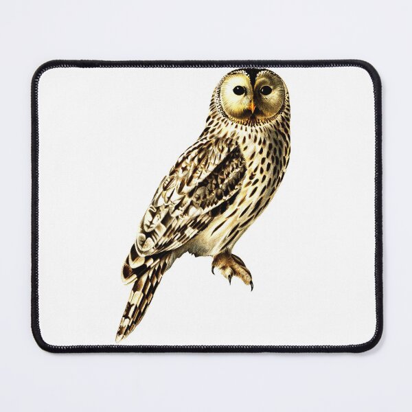 Item preview, A graceful owl pearing into the darkness designed and sold by mrtom414.