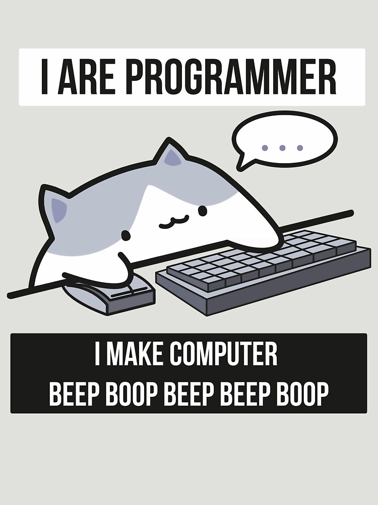 Disover I are programmer (cat programmer) | Essential T-Shirt 