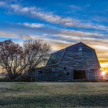Artwork thumbnail, Brandt Barn by jwwalter