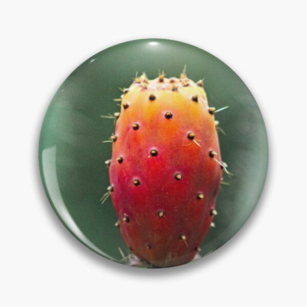 Artikelvorschau, Fruchtfeigenkaktus Pflanze Nopal entworfen und verkauft von worldways.