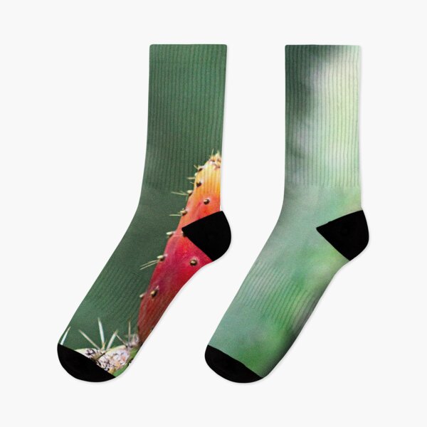 Item preview, Fruit Prickly Pear Cactus Plant Nopal designed and sold by worldways.