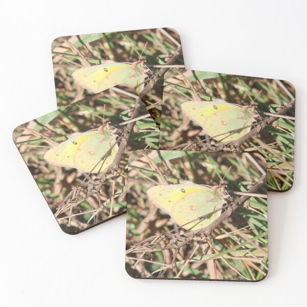Item preview, Orange Sulphur, Alfalfa Butterfly designed and sold by Fhfarms.