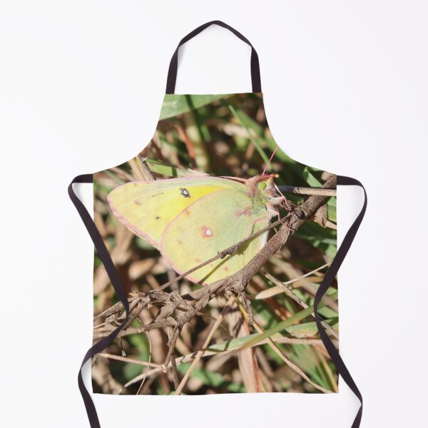 Item preview, Orange Sulphur, Alfalfa Butterfly designed and sold by Fhfarms.