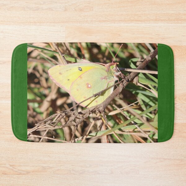Item preview, Orange Sulphur, Alfalfa Butterfly designed and sold by Fhfarms.
