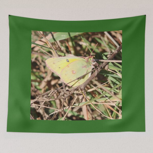 Item preview, Orange Sulphur, Alfalfa Butterfly designed and sold by Fhfarms.