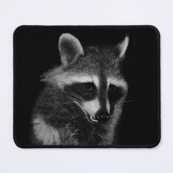 Item preview, Raccoon designed and sold by cherylorraine.