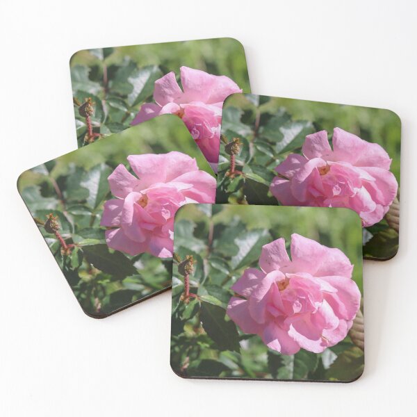 Item preview, Pink Rose, Beautiful Imperfections  designed and sold by Fhfarms.