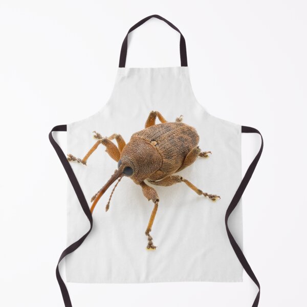 Item preview, Curculio glandium (gland weevil) designed and sold by Graham Prentice.