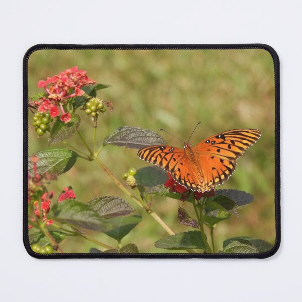 Item preview, fritillary butterfly on orange lantana flowers designed and sold by UpTowardTheSky.