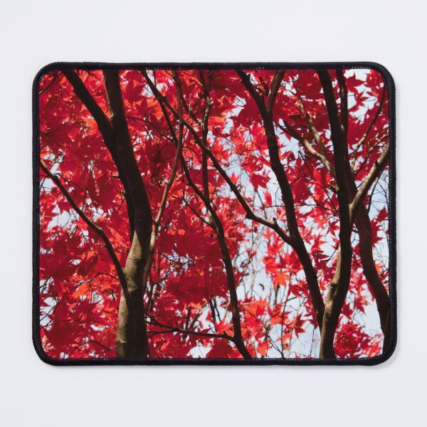 Item preview, Red Leaves Of Autumn designed and sold by Christine Lake.