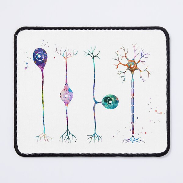 Item preview, Four Types of Neurons designed and sold by EvasDreams.