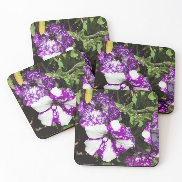 Item preview, Purple And White Nasturtiums designed and sold by golan22may.
