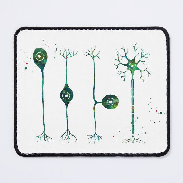Item preview, Four Types of Neurons designed and sold by EvasDreams.