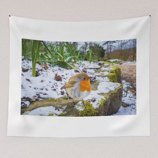 Item preview, Robin Redbreast in Snow designed and sold by Graham Prentice.