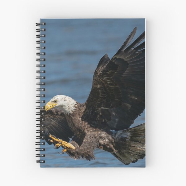 Item preview, Bald eagle diving into water.  designed and sold by Rinoxxx.