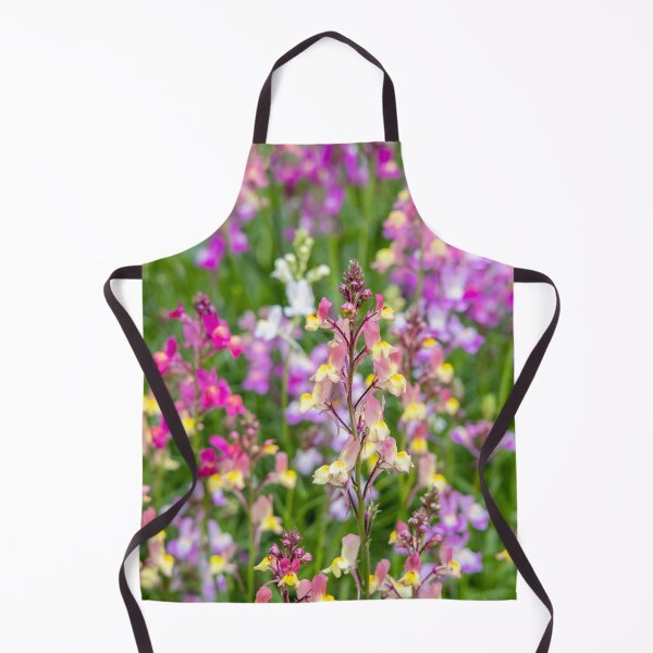 Item preview, Linaria maroccana, Linaria 'Northern Lights' designed and sold by Graham Prentice.