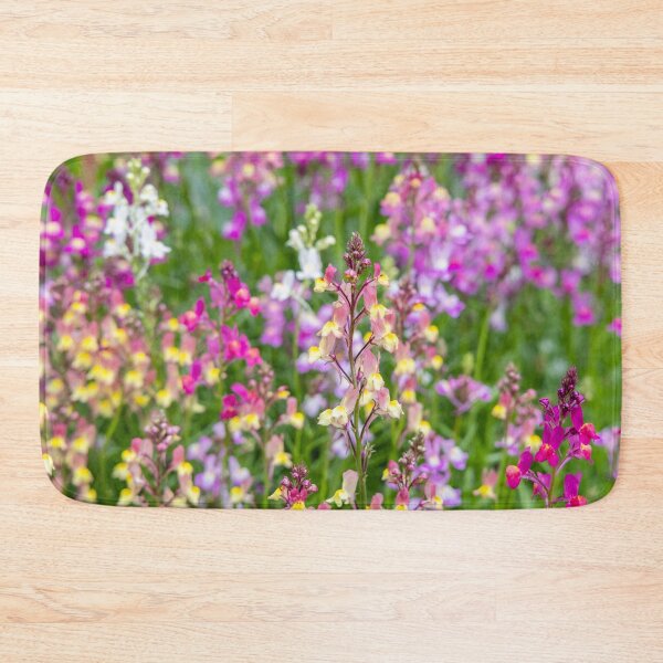 Item preview, Linaria maroccana, Linaria 'Northern Lights' designed and sold by Graham Prentice.