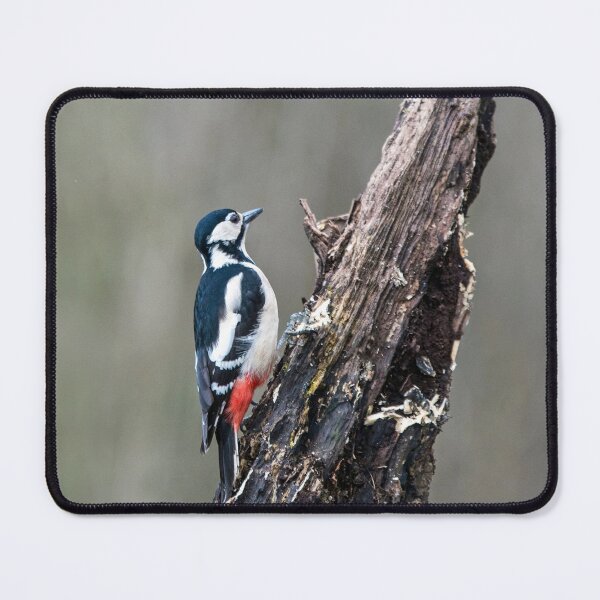 Item preview, A great spotted woodpecker on an old tree trunk designed and sold by Cameranick.