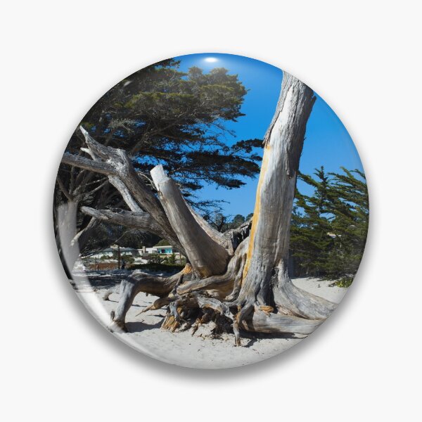 Item preview, Tree bark on a beach, Carmel-by-the-Sea, California designed and sold by OrcaNature.