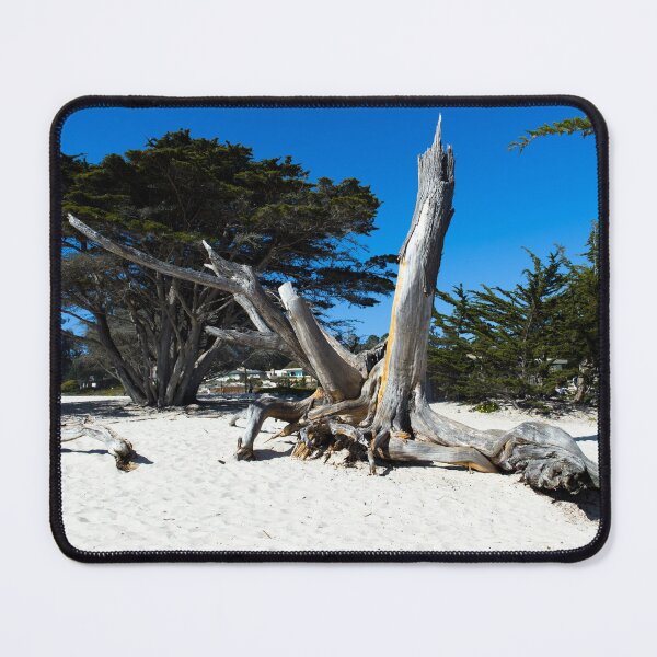 Item preview, Tree bark on a beach, Carmel-by-the-Sea, California designed and sold by OrcaNature.