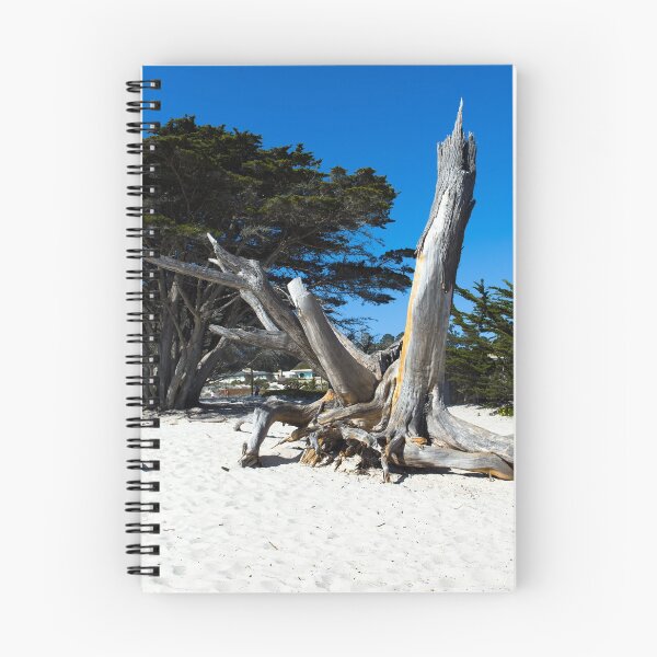 Item preview, Tree bark on a beach, Carmel-by-the-Sea, California designed and sold by OrcaNature.