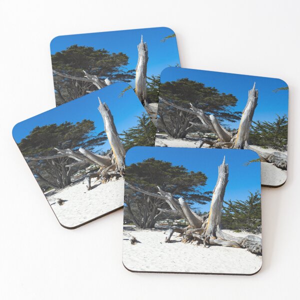 Item preview, Tree bark on a beach, Carmel-by-the-Sea, California designed and sold by OrcaNature.