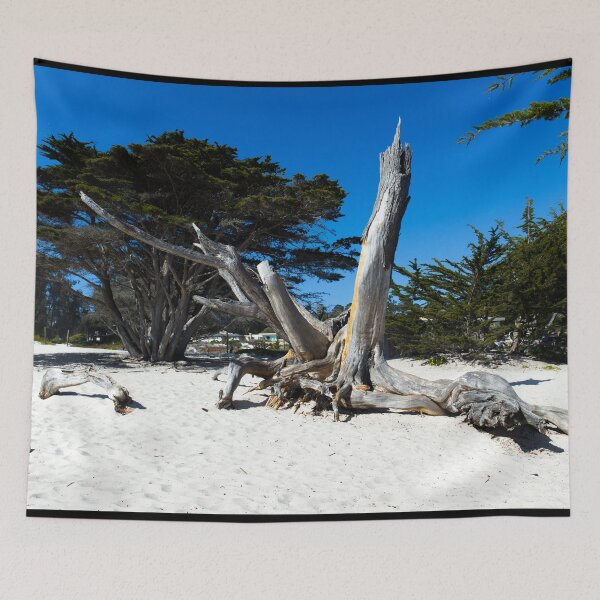 Item preview, Tree bark on a beach, Carmel-by-the-Sea, California designed and sold by OrcaNature.