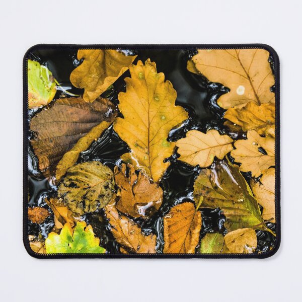 Item preview, Autumn Leaves lying on the surface of a woodland pond. I loved the unplanned pattern these leaves made. designed and sold by Cameranick.