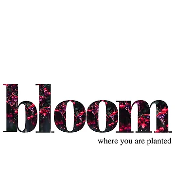 Artwork thumbnail, Bloom by Ruth vanHooydonk