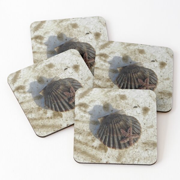 Item preview, Cape Cod, Starfish using Bay Scallop as Uber designed and sold by ENJoyTimesToo.
