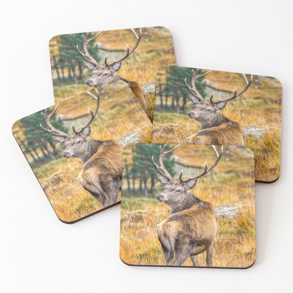 Item preview, Red Deer Stag in Autumn designed and sold by derekbeattie.
