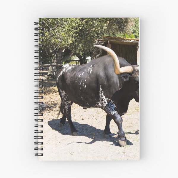 Item preview, Longhorn designed and sold by OrcaNature.