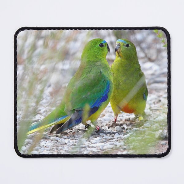 Photo by Paul Randall Mouse Pad