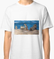 Australische Pelzrobben Classic T-Shirt