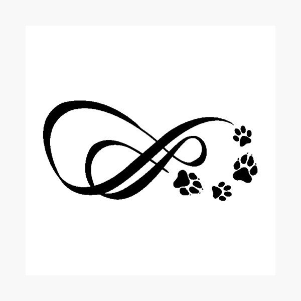Amazon.com: 4 x 'Infinity Paws' Temporary Tattoos (TO00012777) : Everything  Else