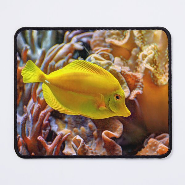 Item preview, Yellow Fish designed and sold by Savannah Gibbs.