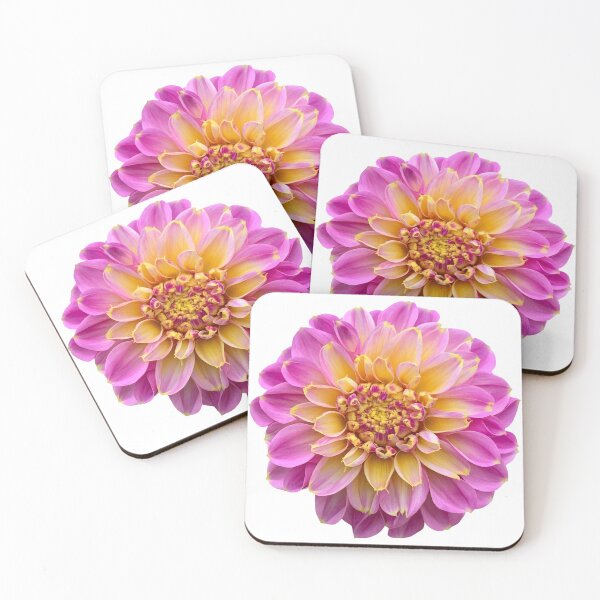 Item preview, Pink Dahlia Flower Still Life Floral Photography designed and sold by CottoVerdi.
