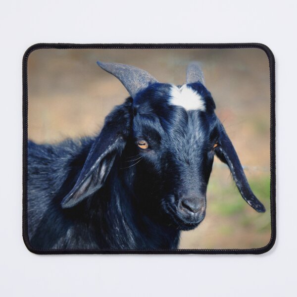 Item preview,  Goat designed and sold by Savannah Gibbs.