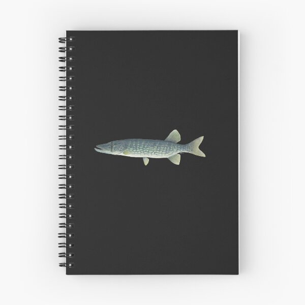 Item preview, Chain Pickerel (Esox niger) designed and sold by LeakyCanoeArt.