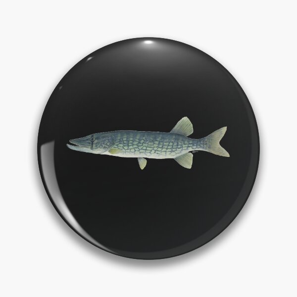 Item preview, Chain Pickerel (Esox niger) designed and sold by LeakyCanoeArt.