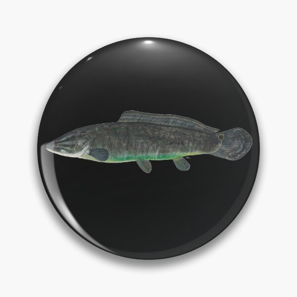 Item preview, Bowfin (Amia calva) designed and sold by LeakyCanoeArt.