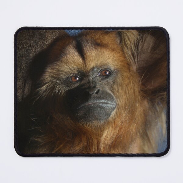 Item preview, Howler  designed and sold by Savannah Gibbs.