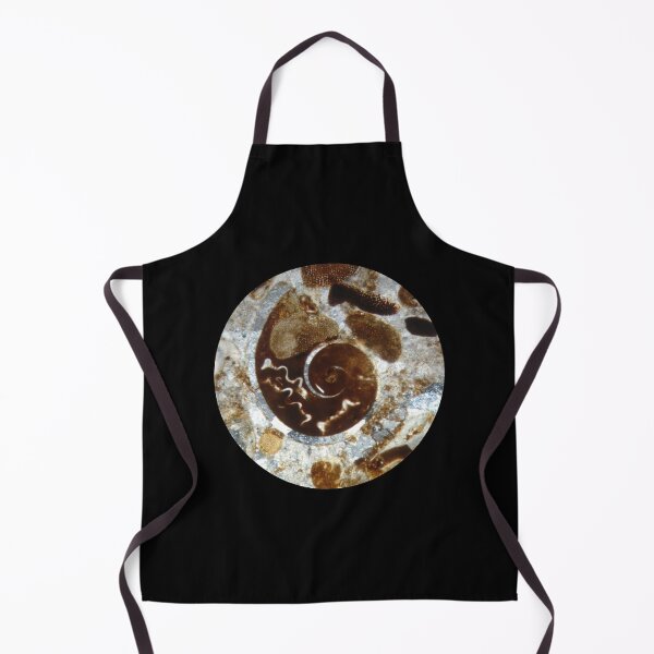 Item preview, Fossil Shell in Thin Section  designed and sold by Ane Slabic.